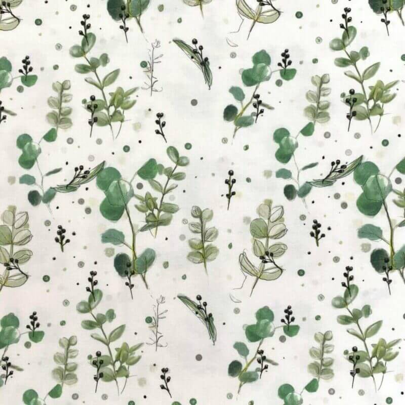 jersey eucalyptus