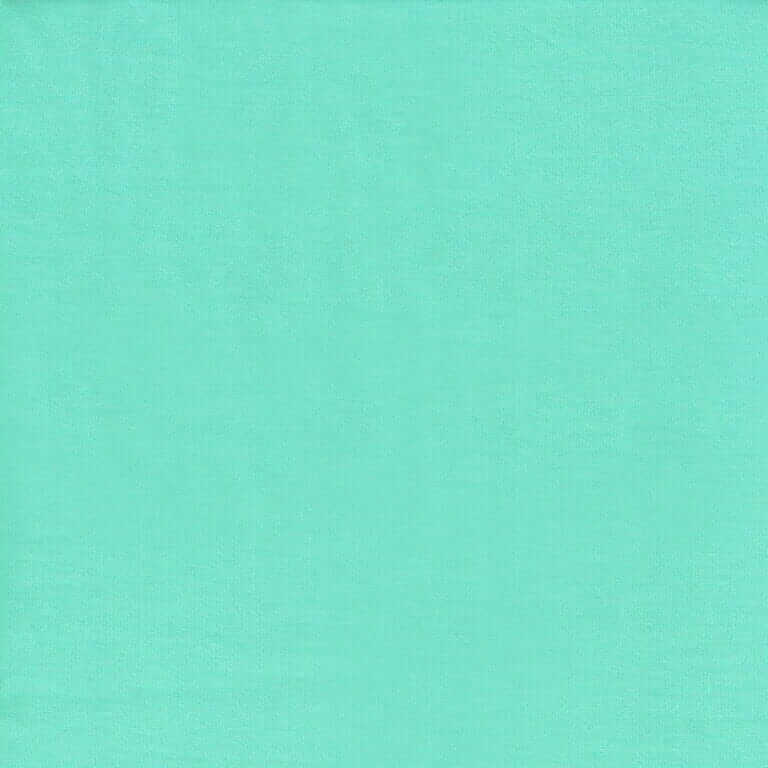 Ensfarget jersey - Mint