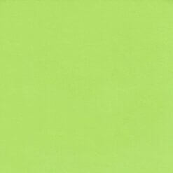 Ensfarget jersey - Lime