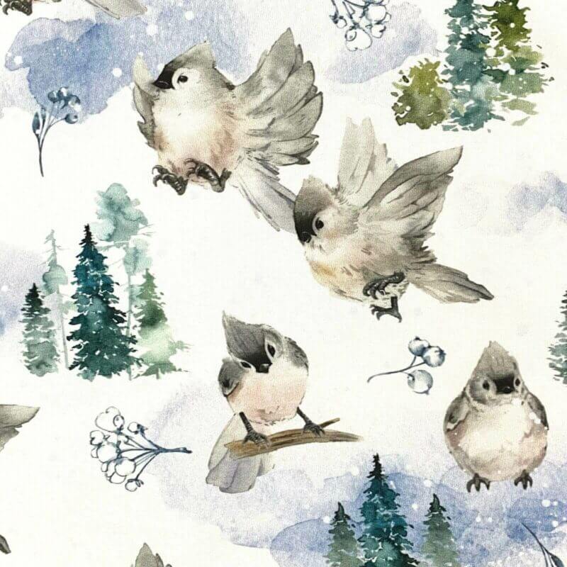 French Terry - Winterbirds